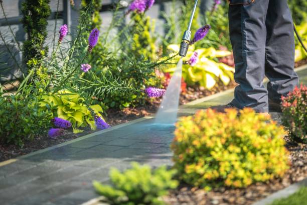 Best Winterizing Services  in Elmira, NY
