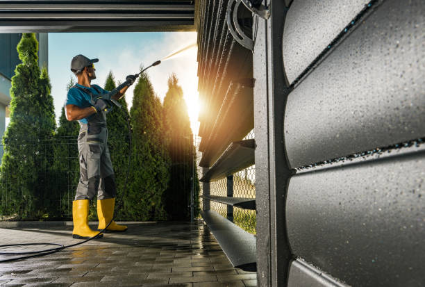 Best Solar Panel Cleaning  in Elmira, NY